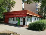 Bota (Mūqağali Maqataev kóshesi, 16), grocery