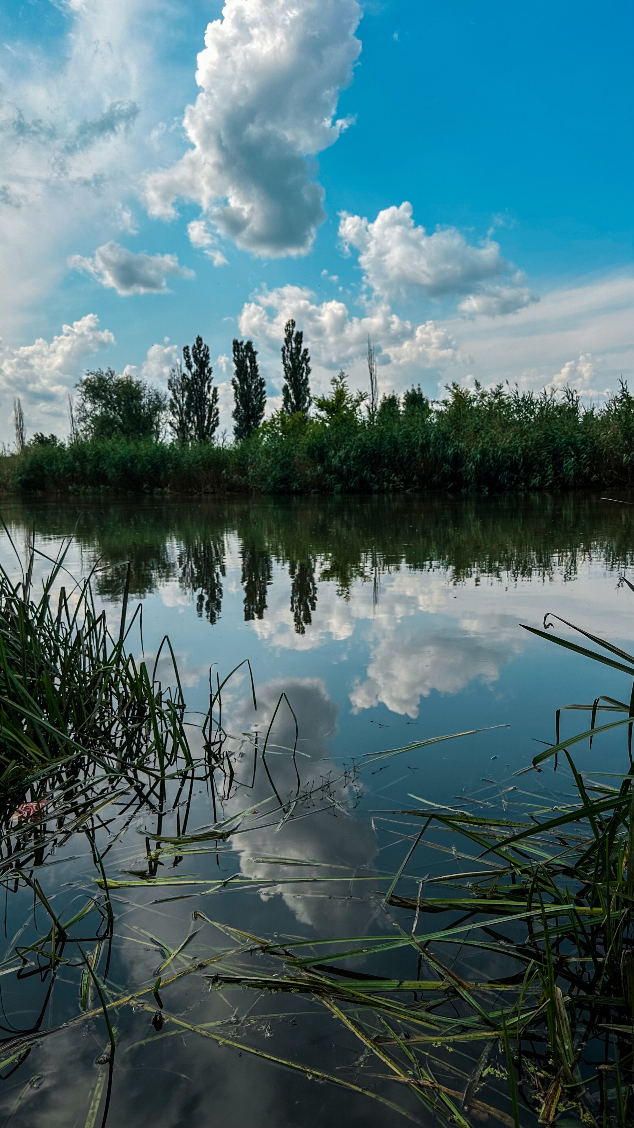 Фото У Реки