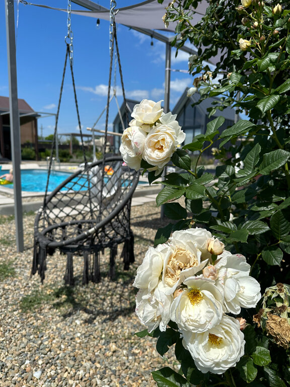 Фото Villa Surf Dacha