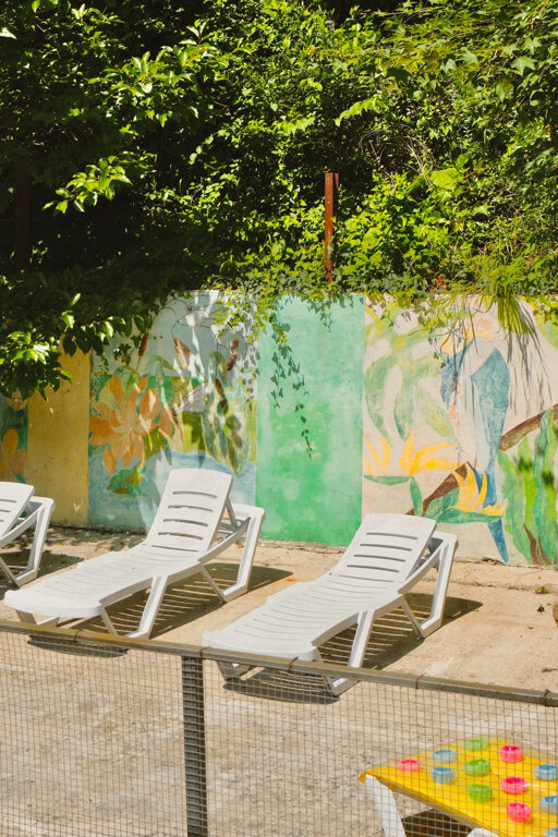 Фото Пальма