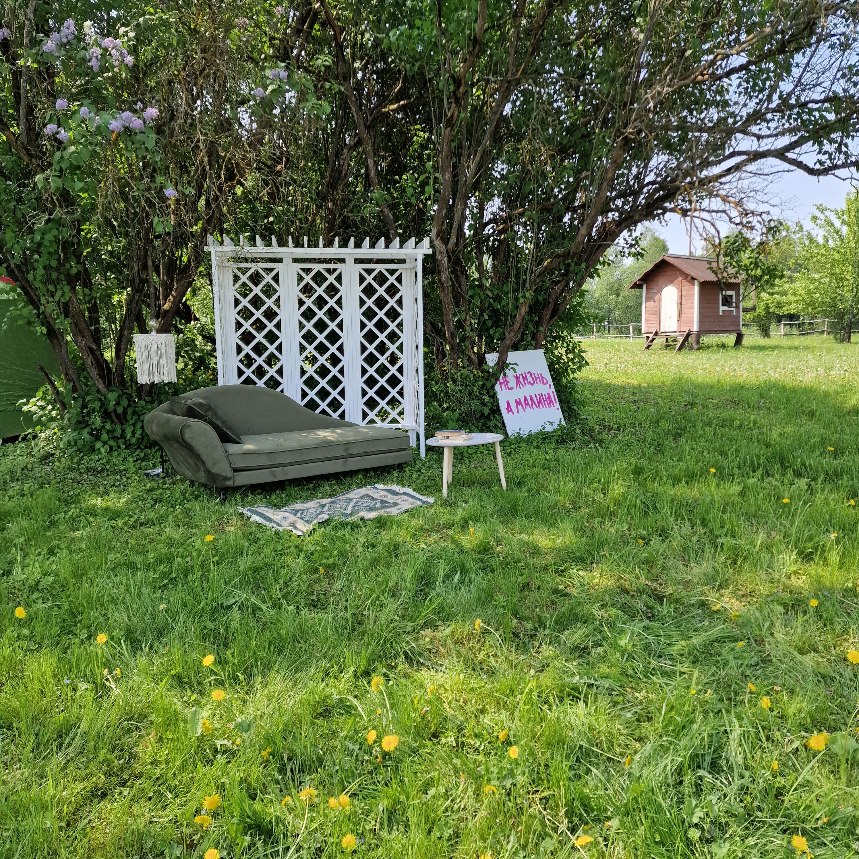 Фото Малина