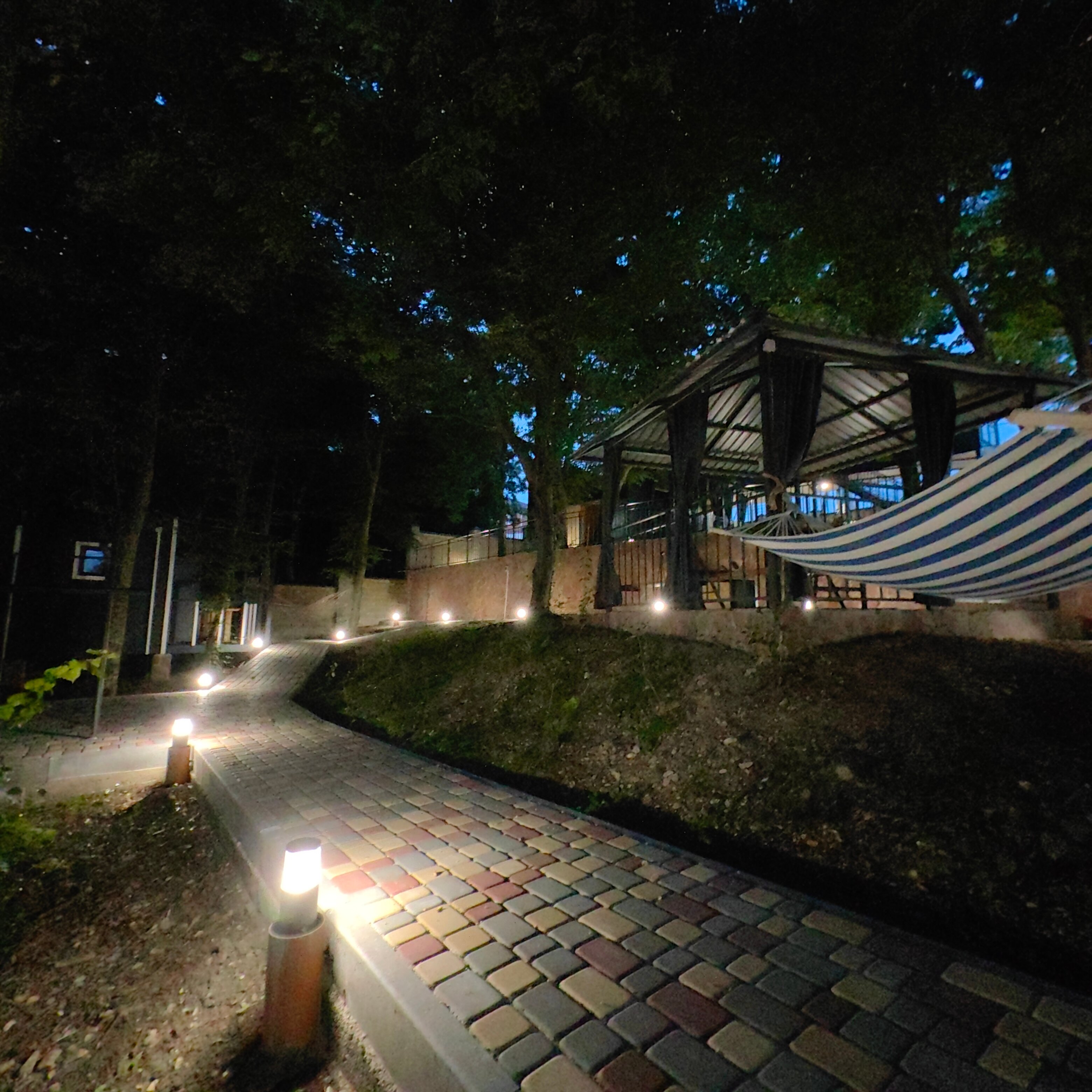 Фото Forest Dreams