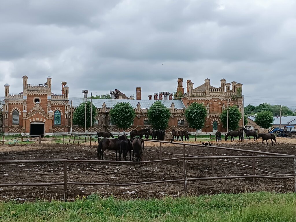 Животноводческое хозяйство Старожиловский конный завод, Рязанская область, фото