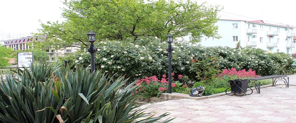 Фото Аурелия