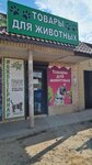 Зоомагазин (ulitsa Lenina, 140А), pet shop