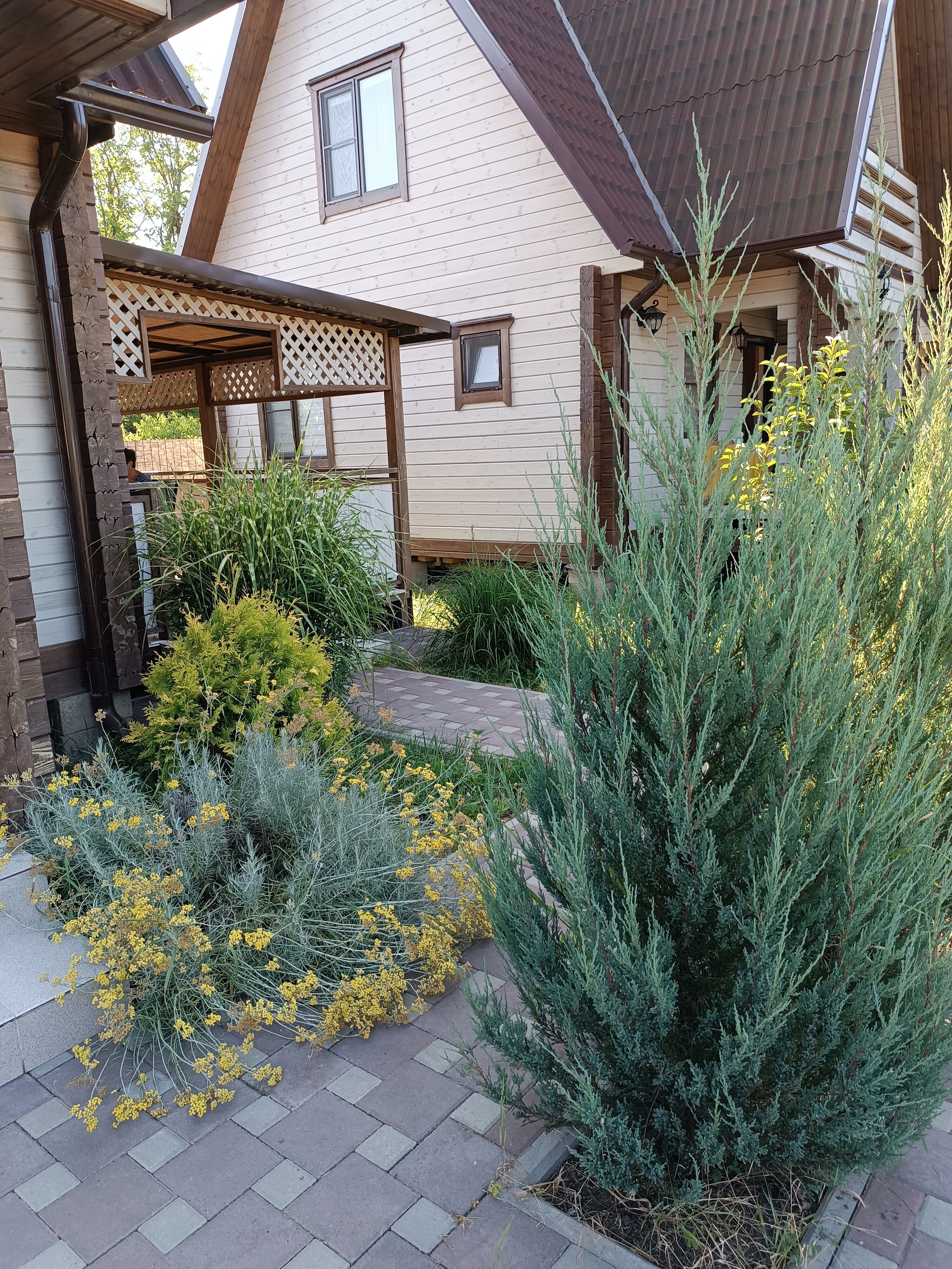 Фото Белувир