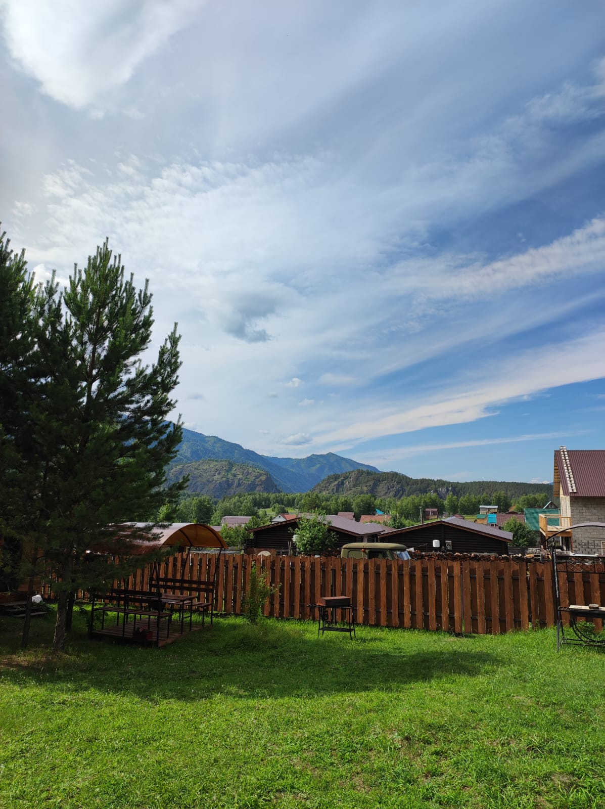 Фото Шишкин лес