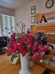 Alliance Kmv (ulitsa Dolina Roz, 4Б), real estate agency