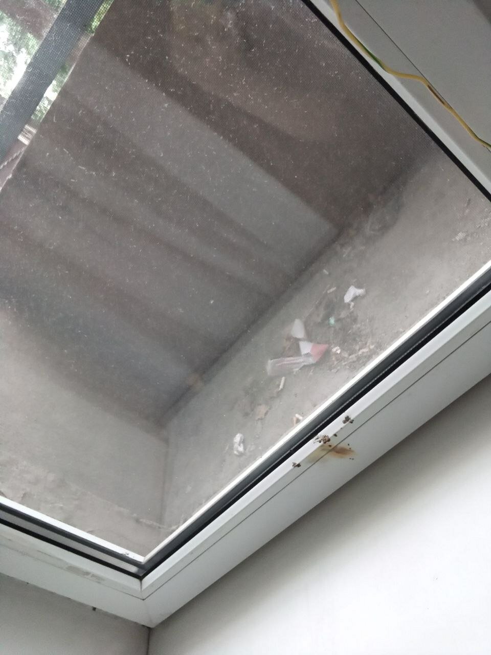 Фото Приорат