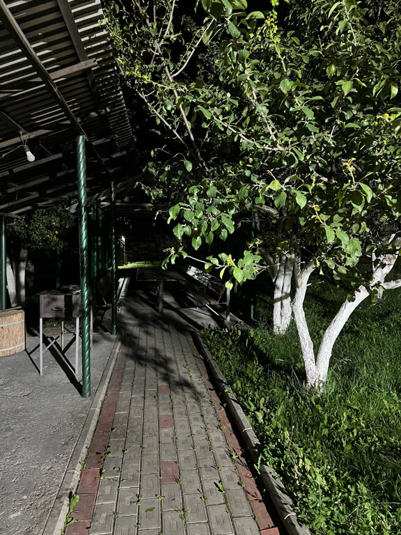 Фото Горный родник