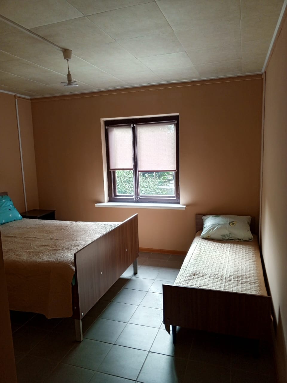 Фото Сосновая Стрит