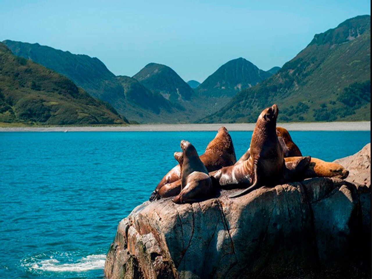 Фото Вилла Позитив