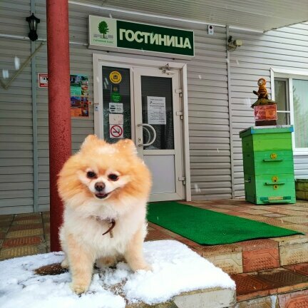 Гостиница Гармония Плюс в Великих Луках