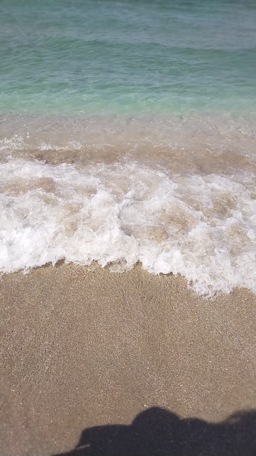 Фото Керкинитида Крабья бухта