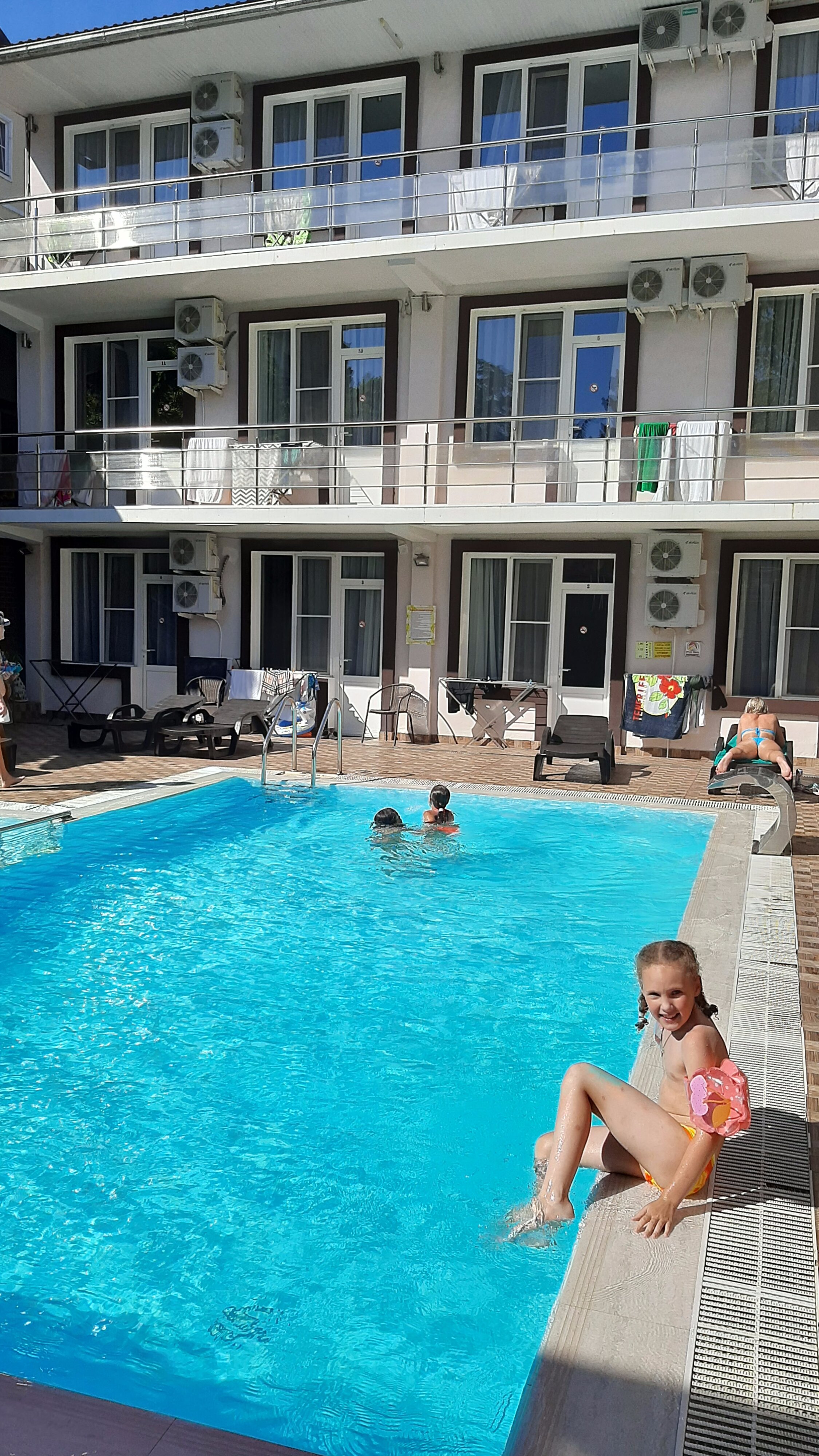 Фото Азалия Мимоза