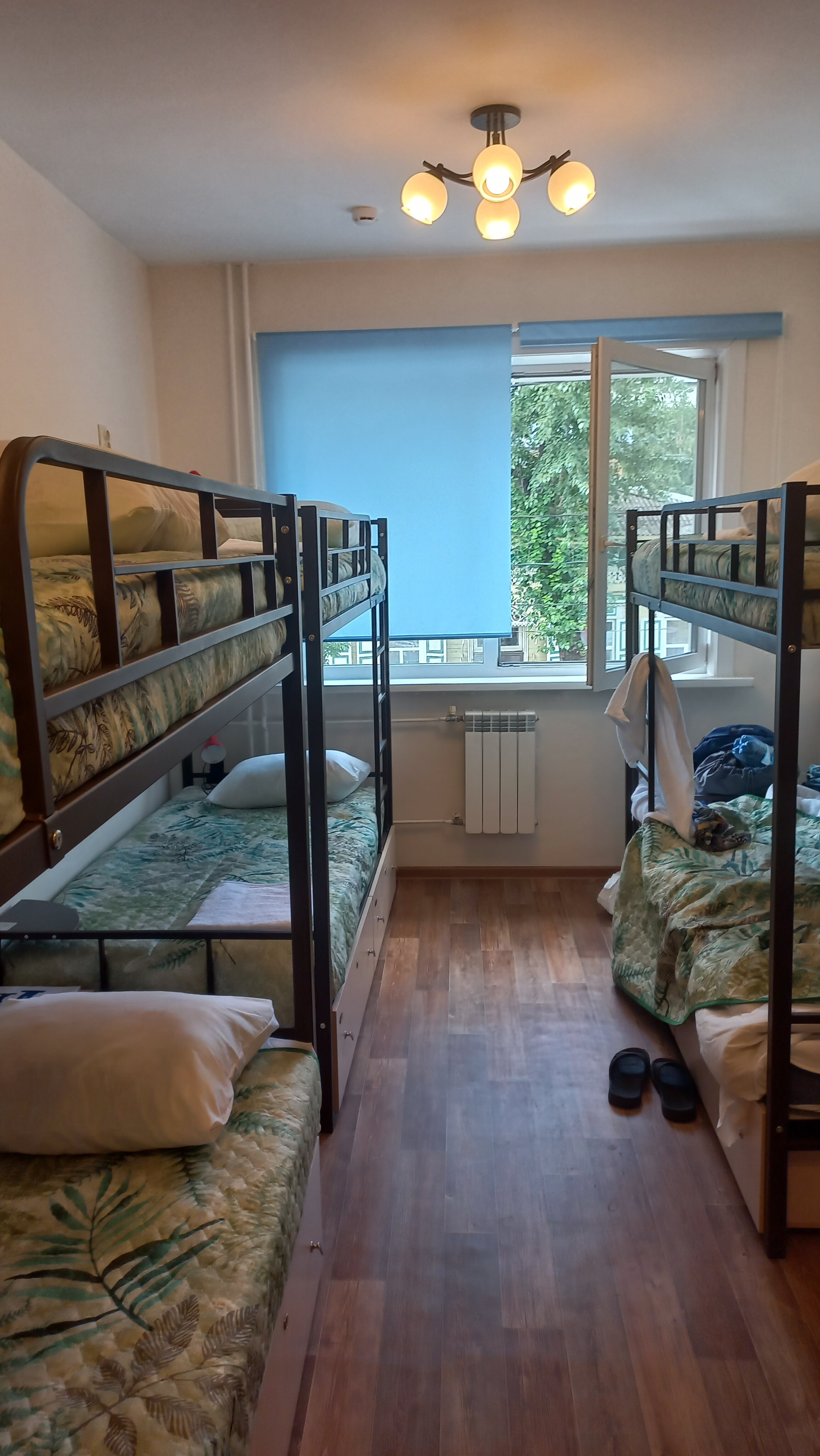 Фото Гостишка