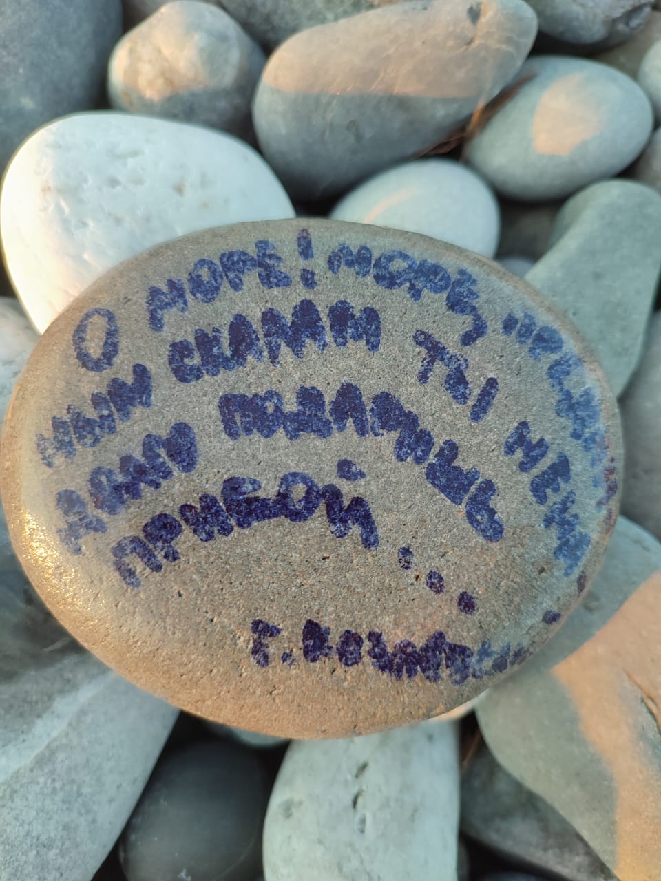 Фото Золотой огонек