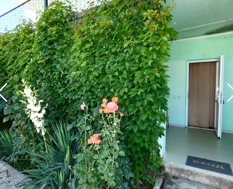 Фото Мавиле