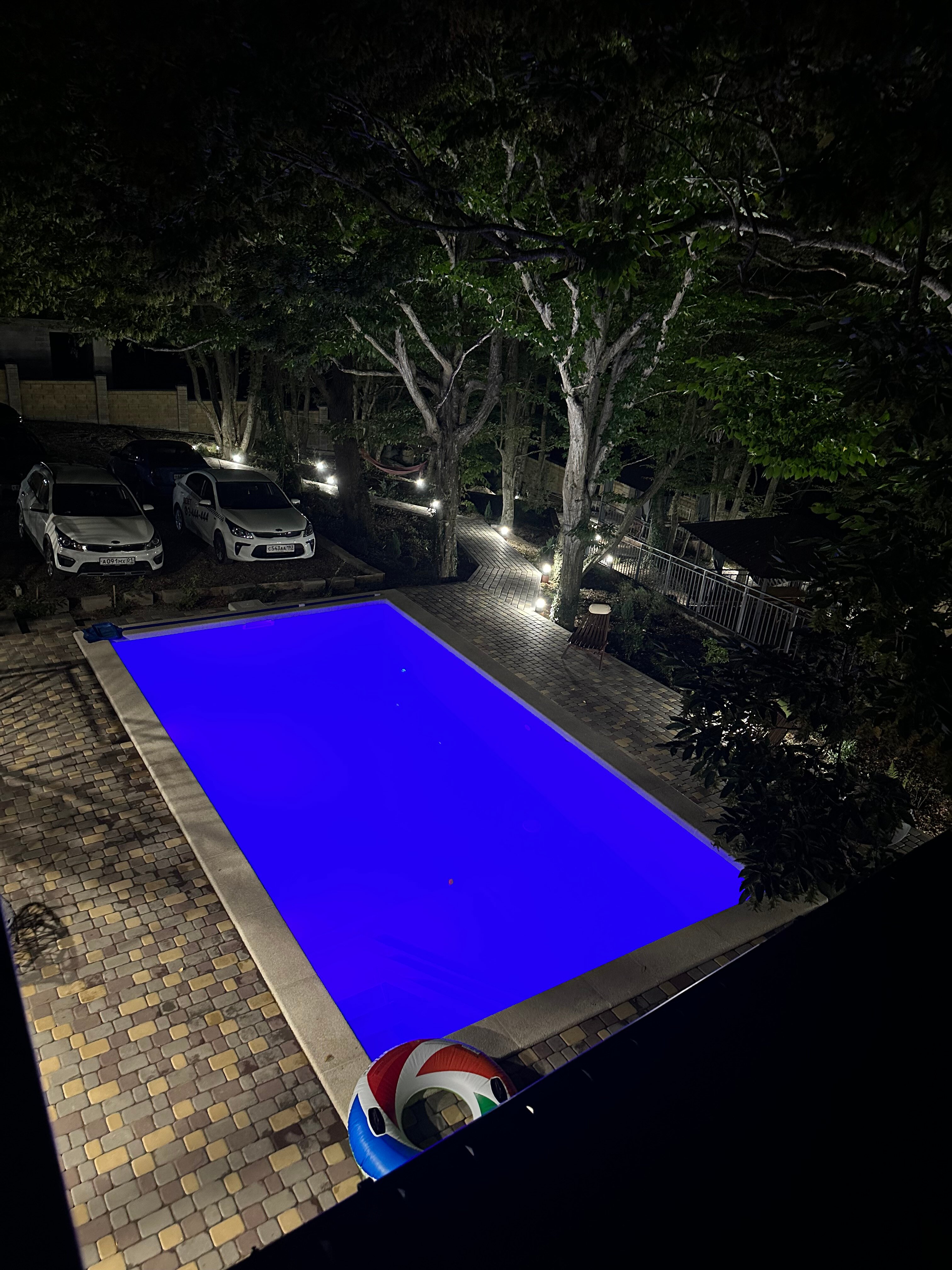 Фото Forest Dreams