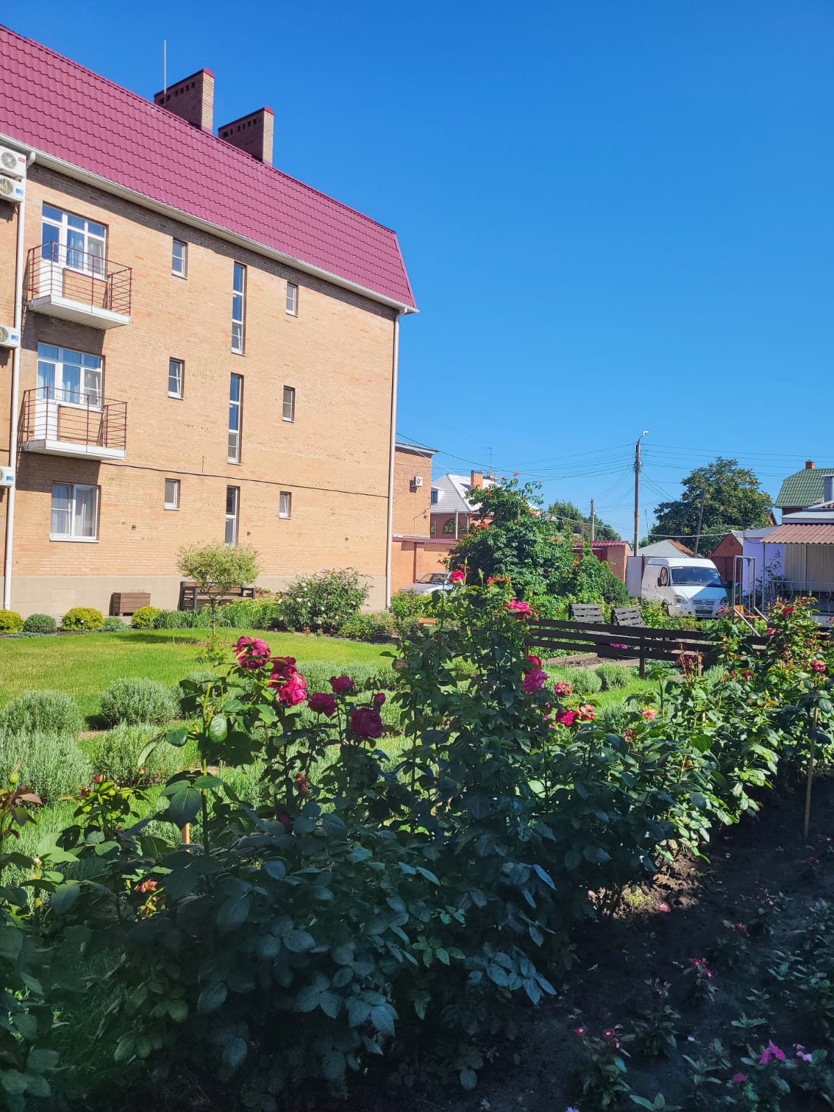 Фото Крыжовник