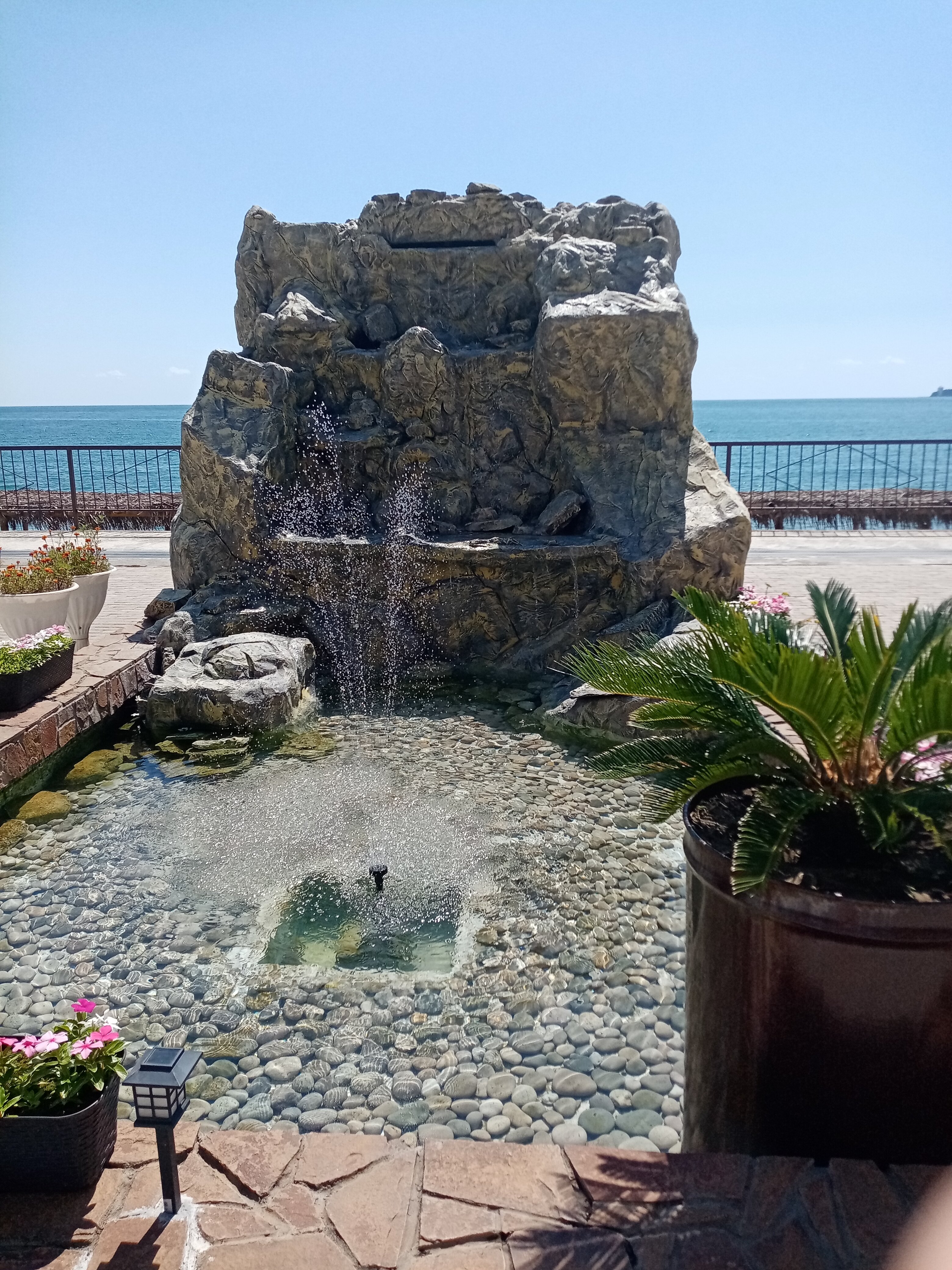 Фото Арбика