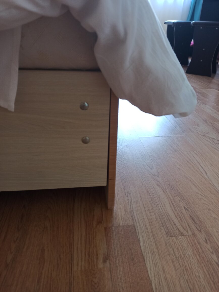 Фото Диоскурия