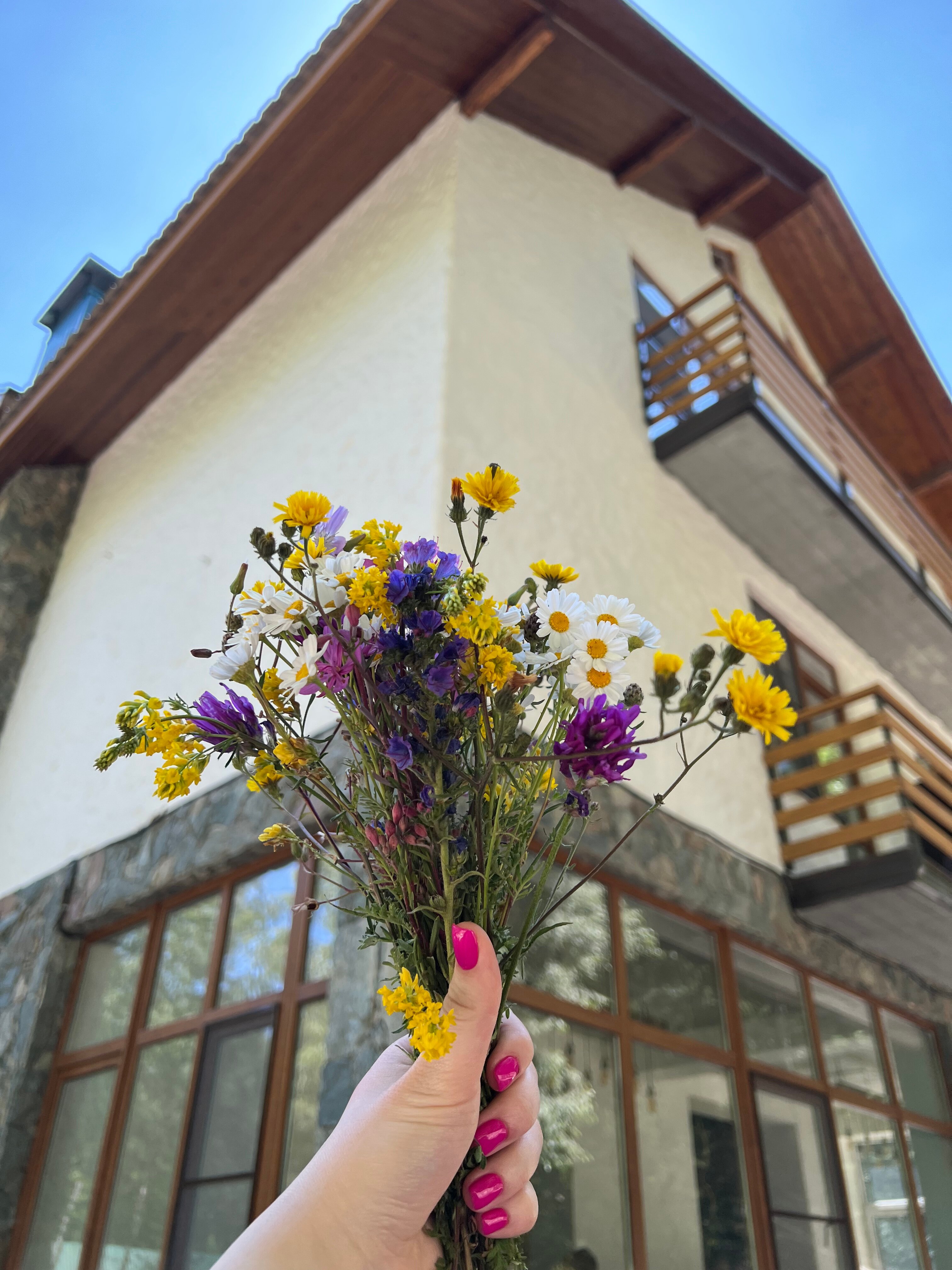 Фото Chalet Botash