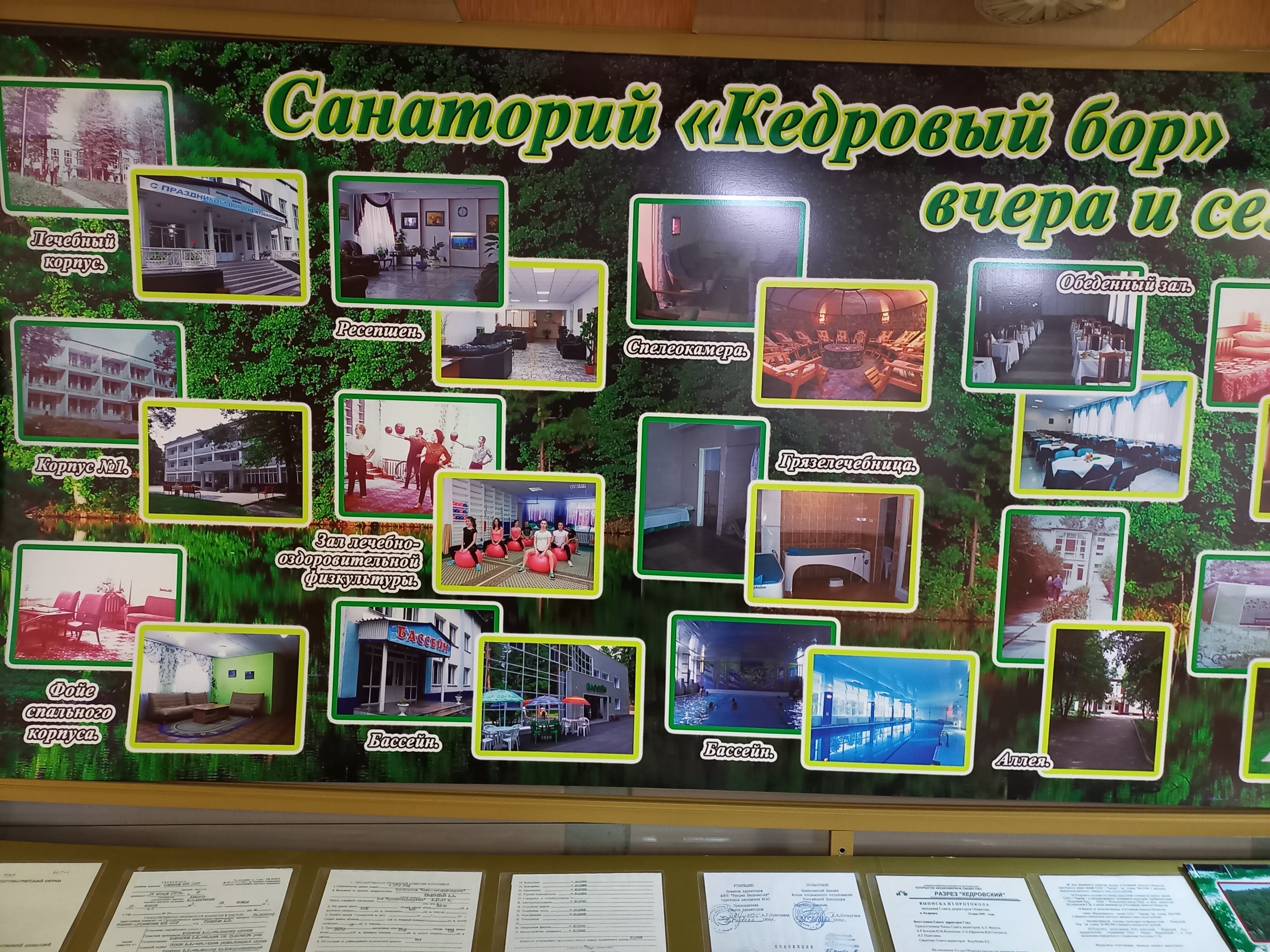 Фото Кедровый бор