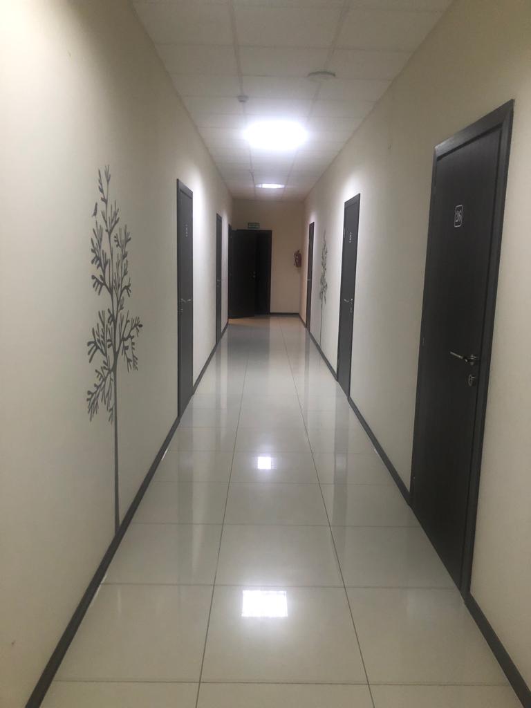 Фото Спутник