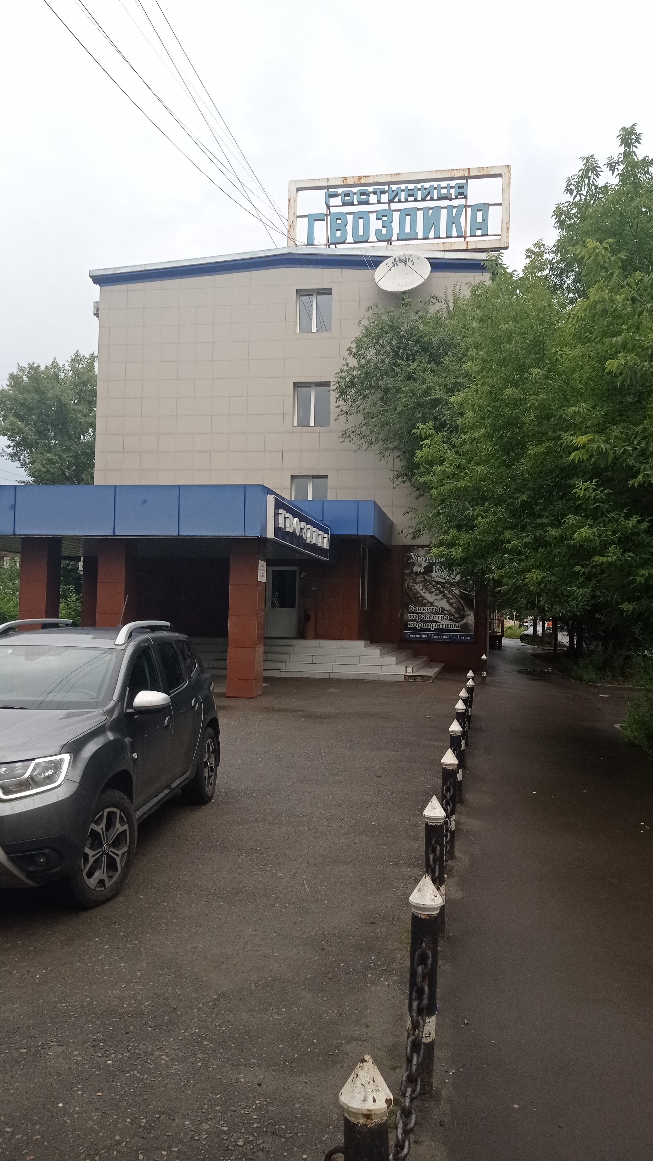 Фото Гвоздика