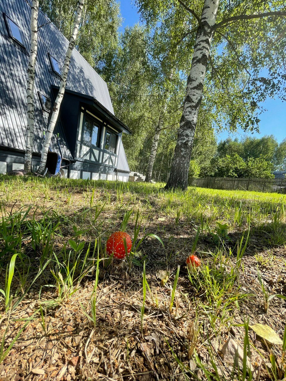 Фото Овчинино Лайф