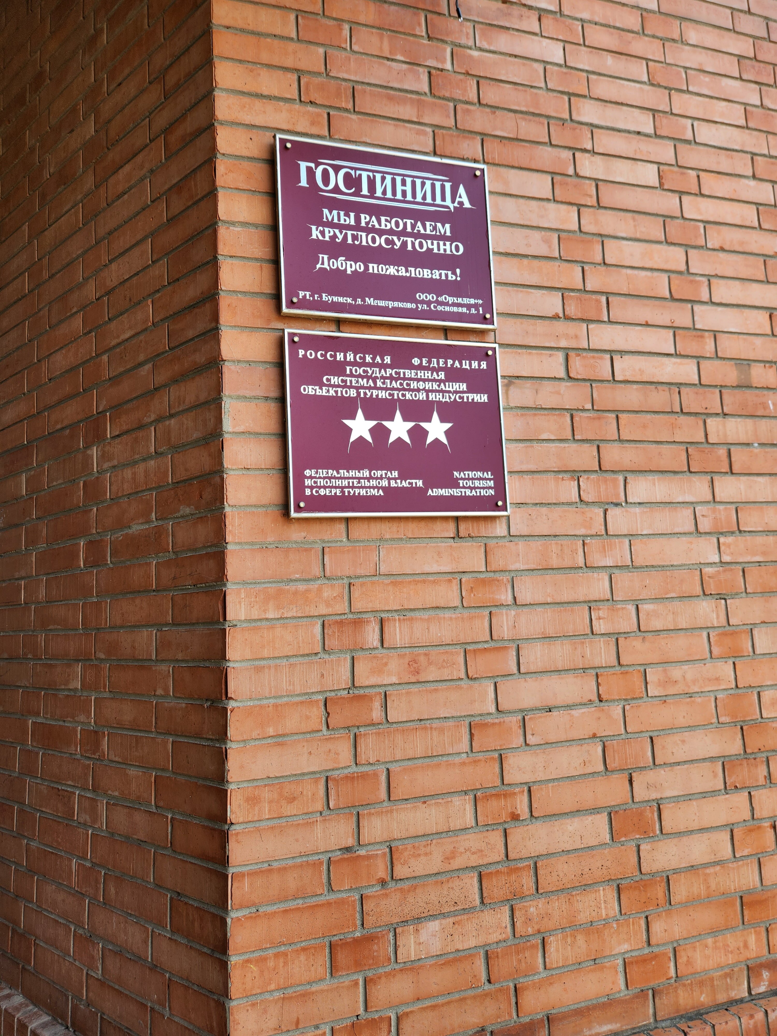 Фото Орхидея