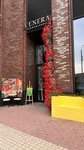 Venera flower shop (Khodynskaya Street, 2), flower shop