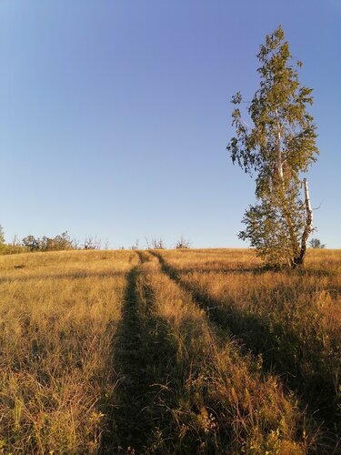 Mountain peak Гора Зелёная, Samara Oblast, photo