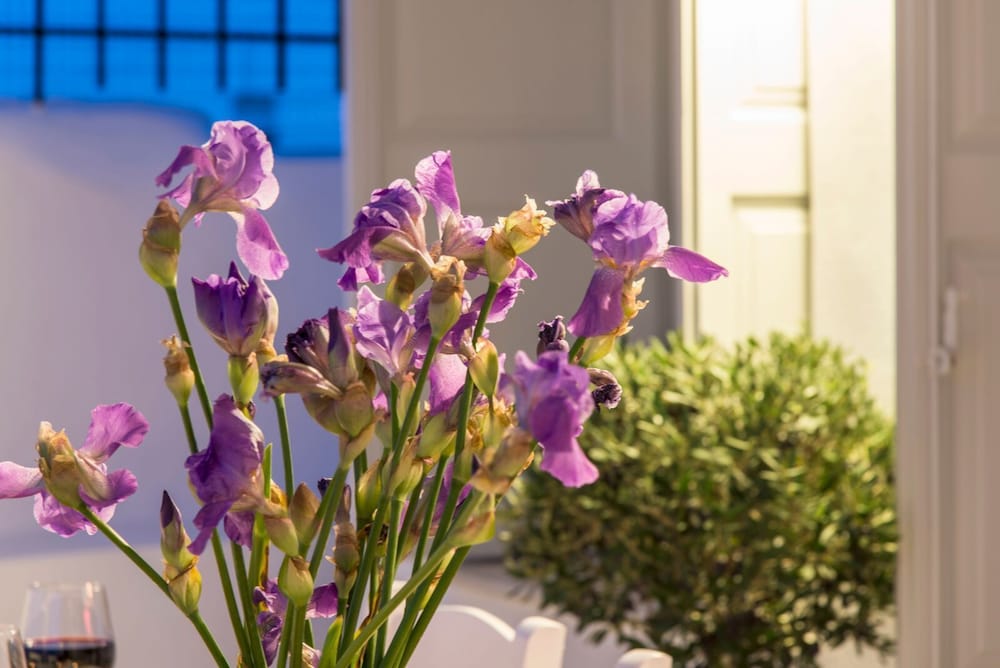 Фото Villa Erofili