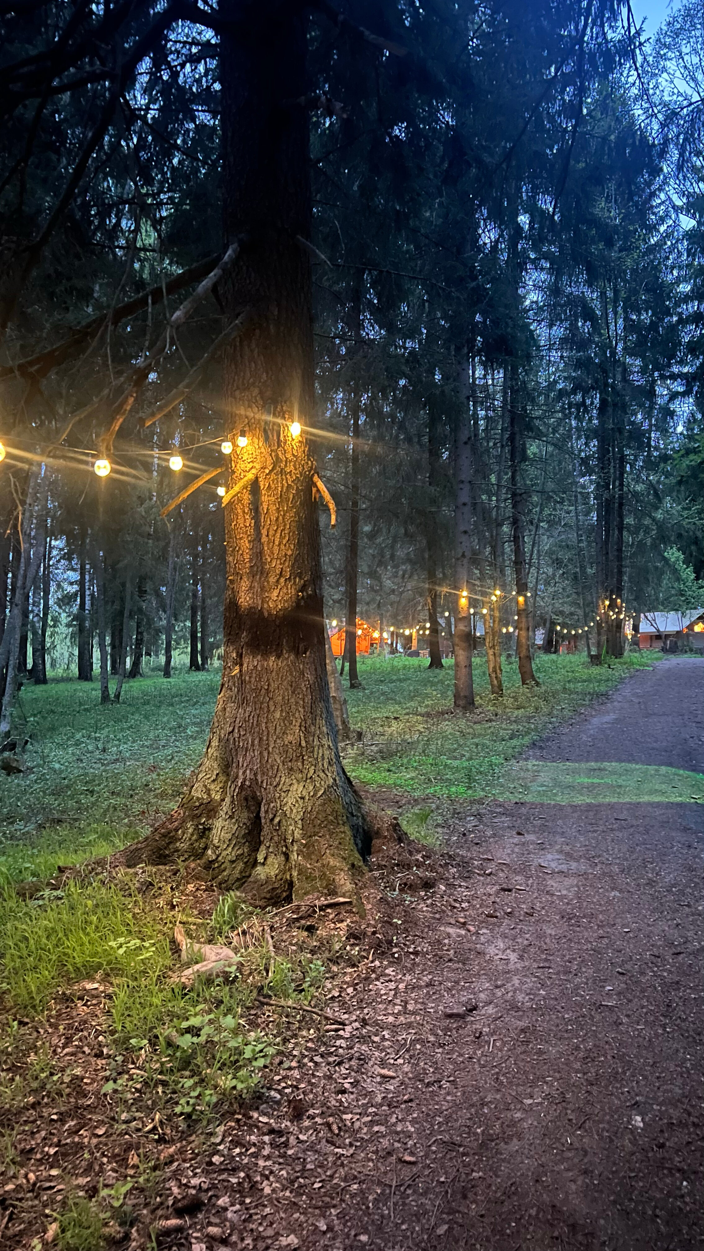 Фото Заповедник