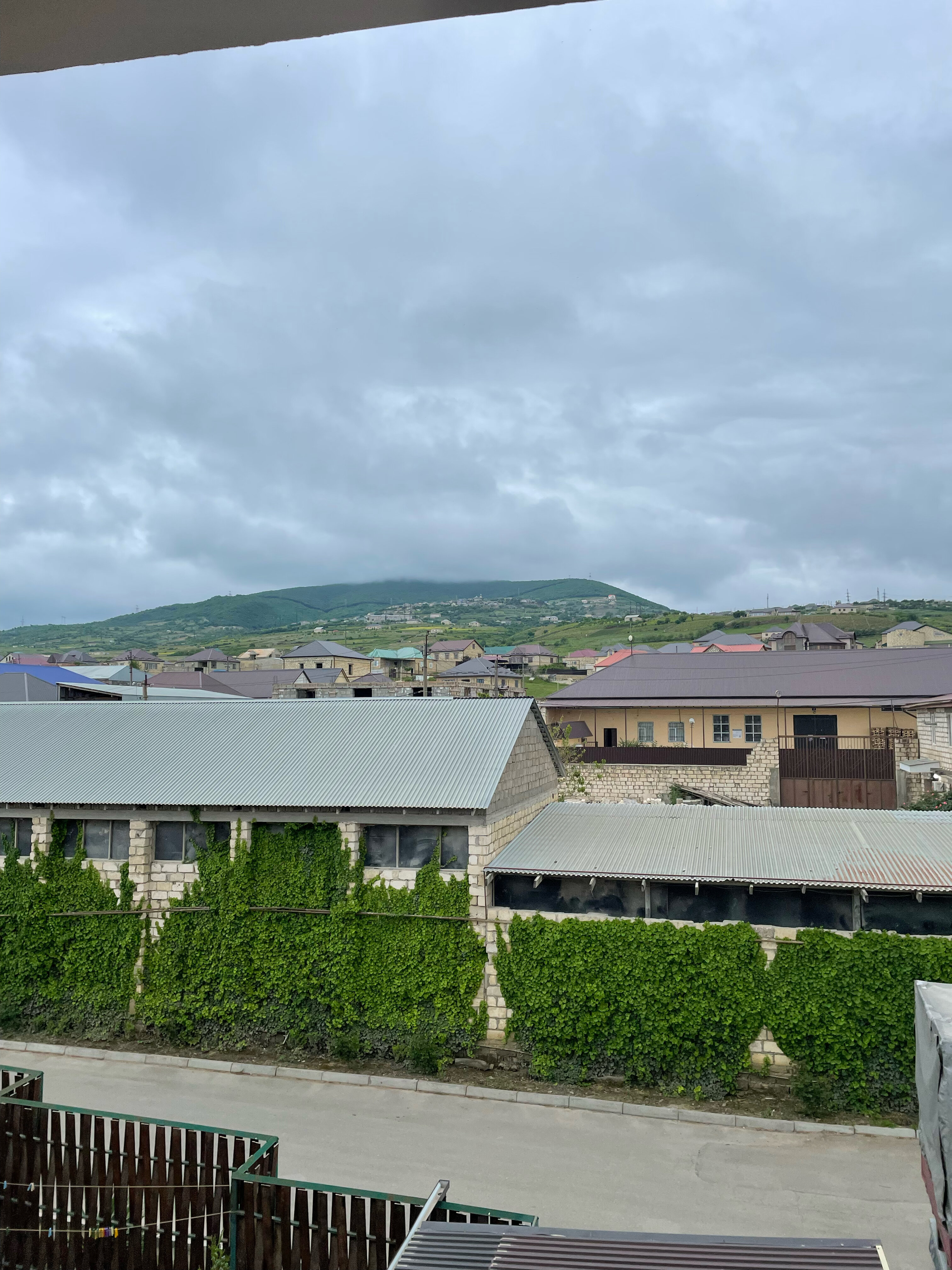 Фото Апельсин