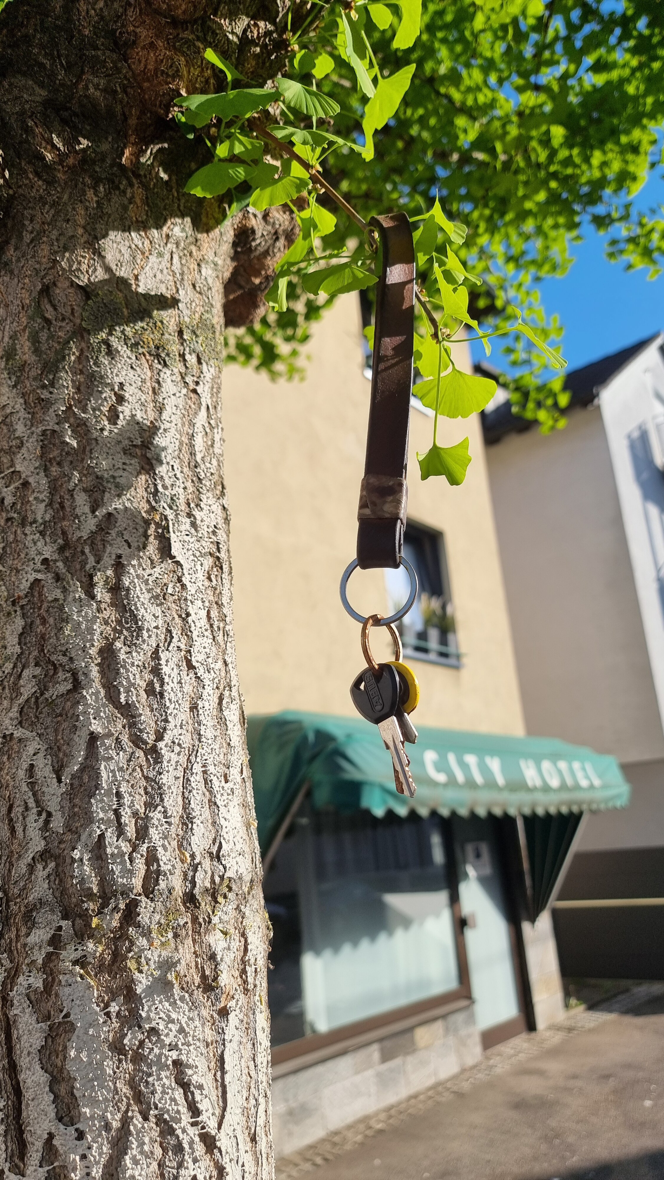 Фото City Hotel Fellbach