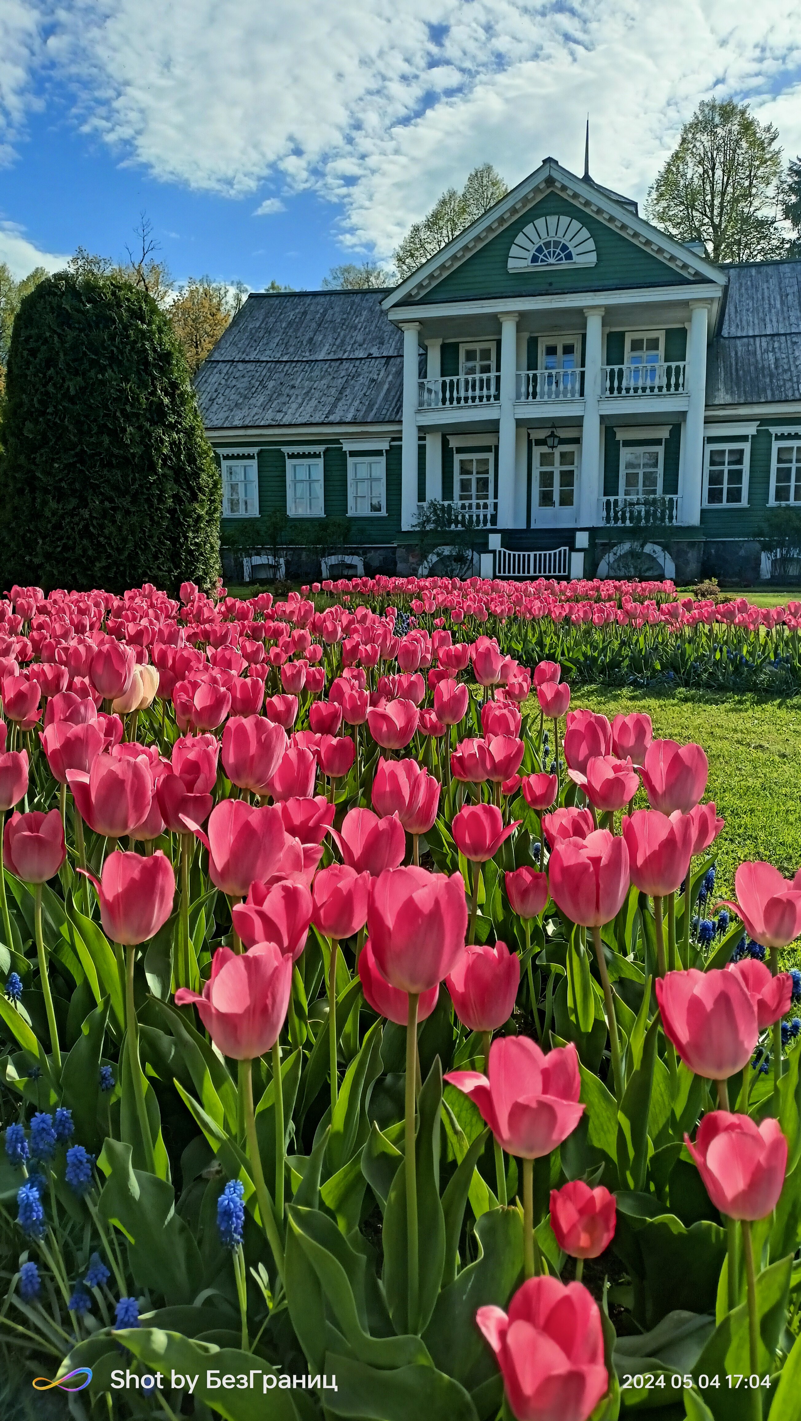 Фото Пушкиногорье