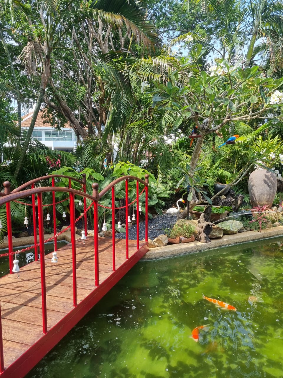 Фото Patong Resort