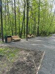 Площадка для отдыха (Moscow Region, Leninskiy City District, Vidnovskiy Forest Park), recreation infrastructure