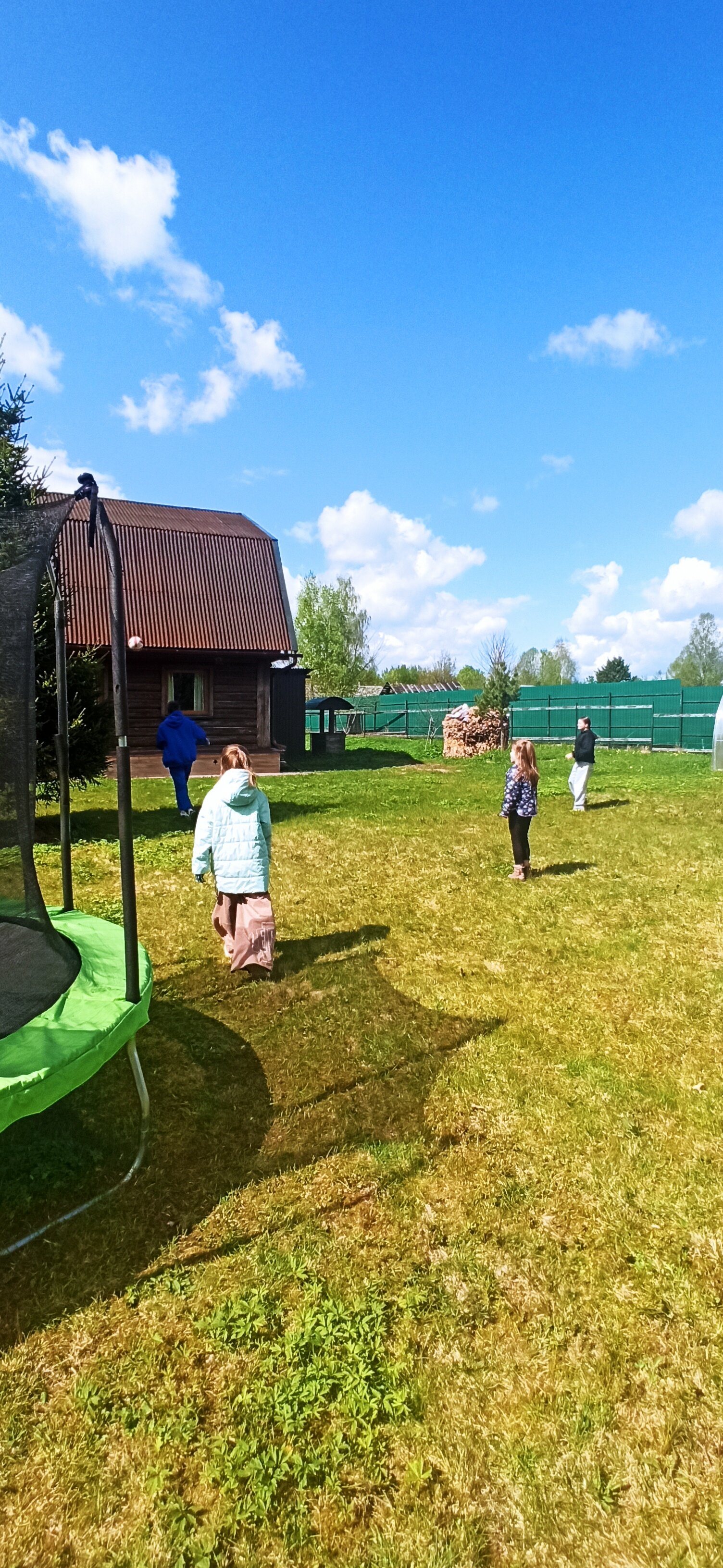 Фото Морошка