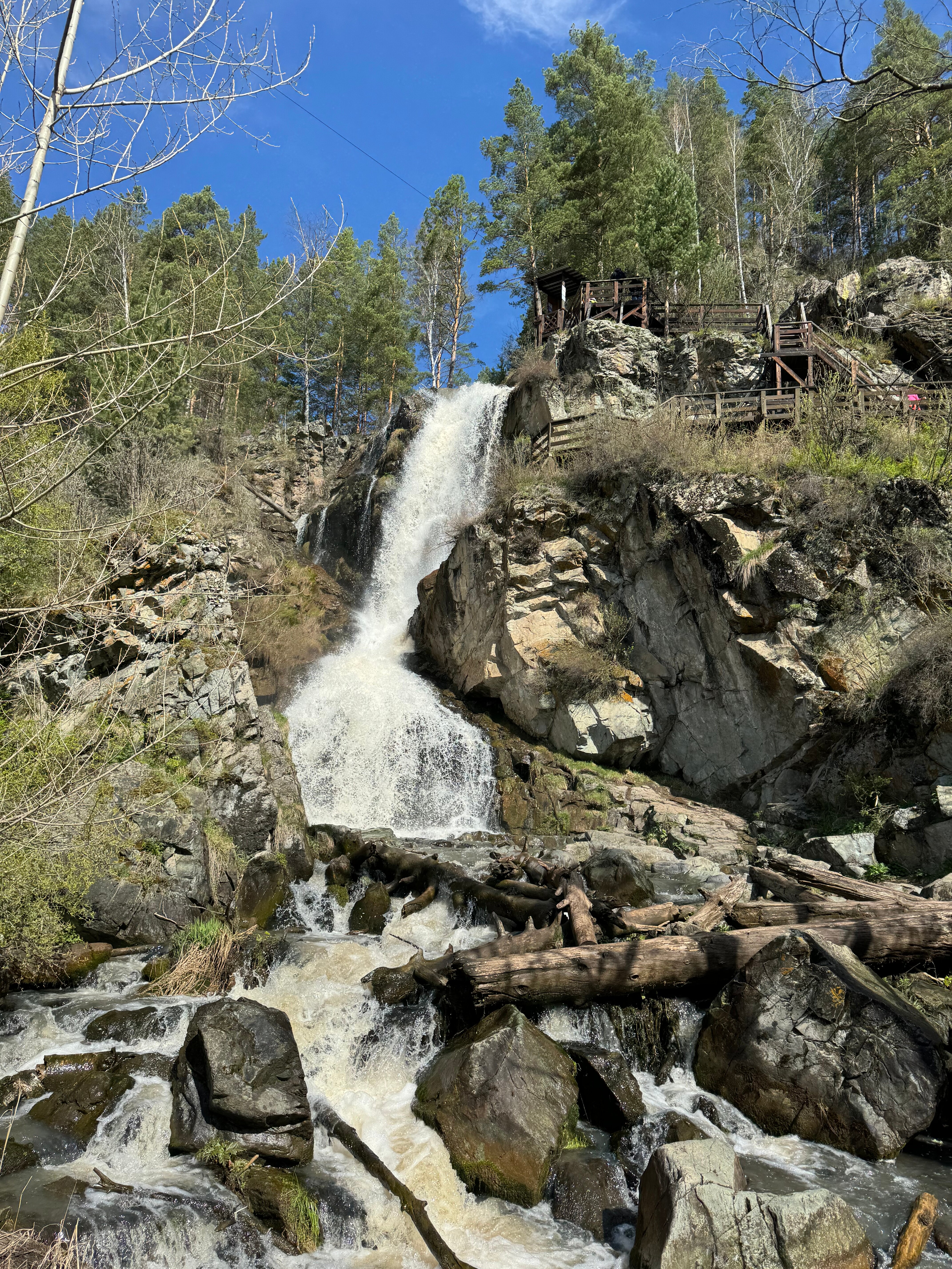 Фото Корона Алтая
