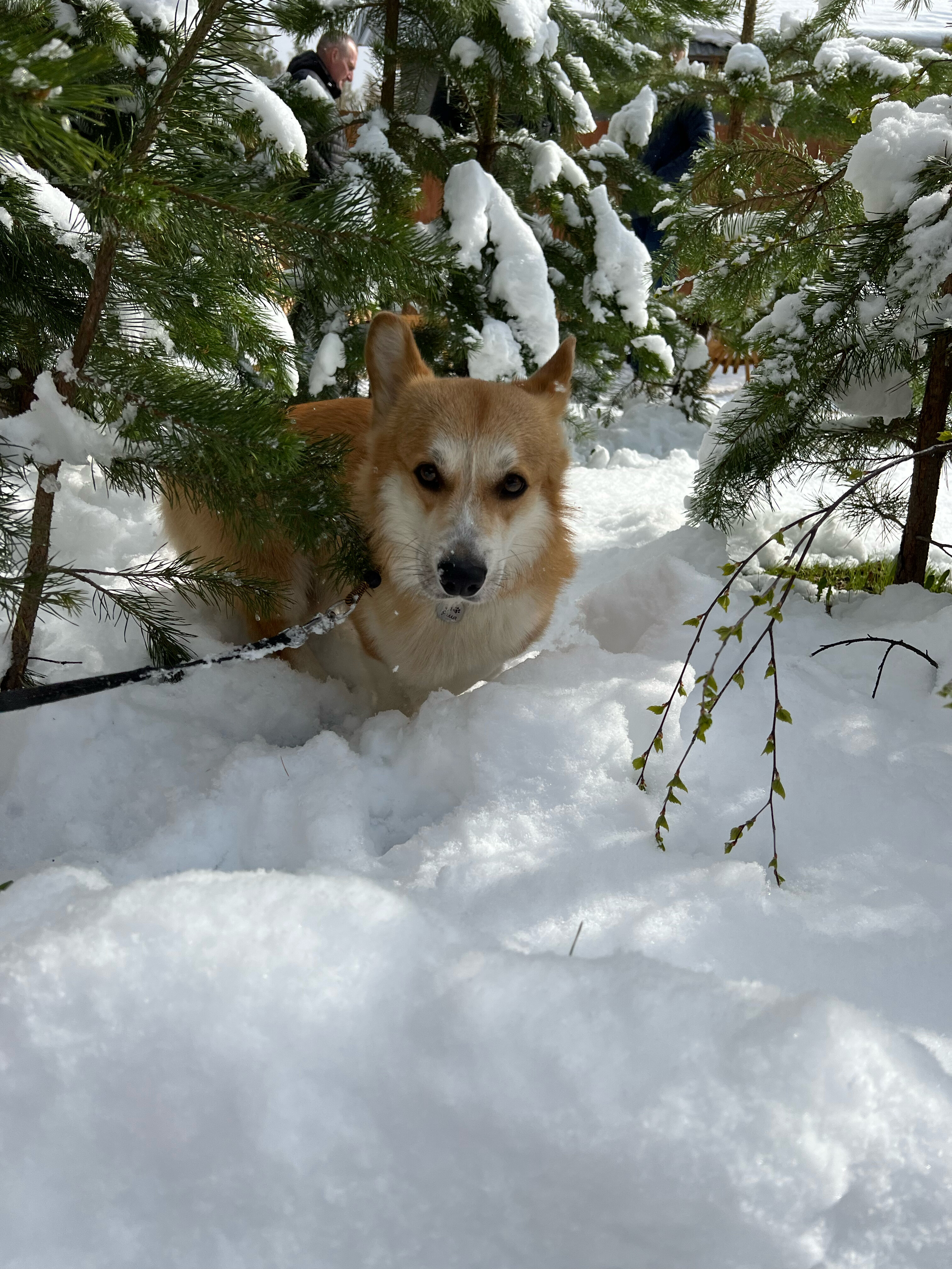 Фото Introvert House