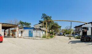 Жігіт бірінші рет жалаңаш қызды порнодан көреді.