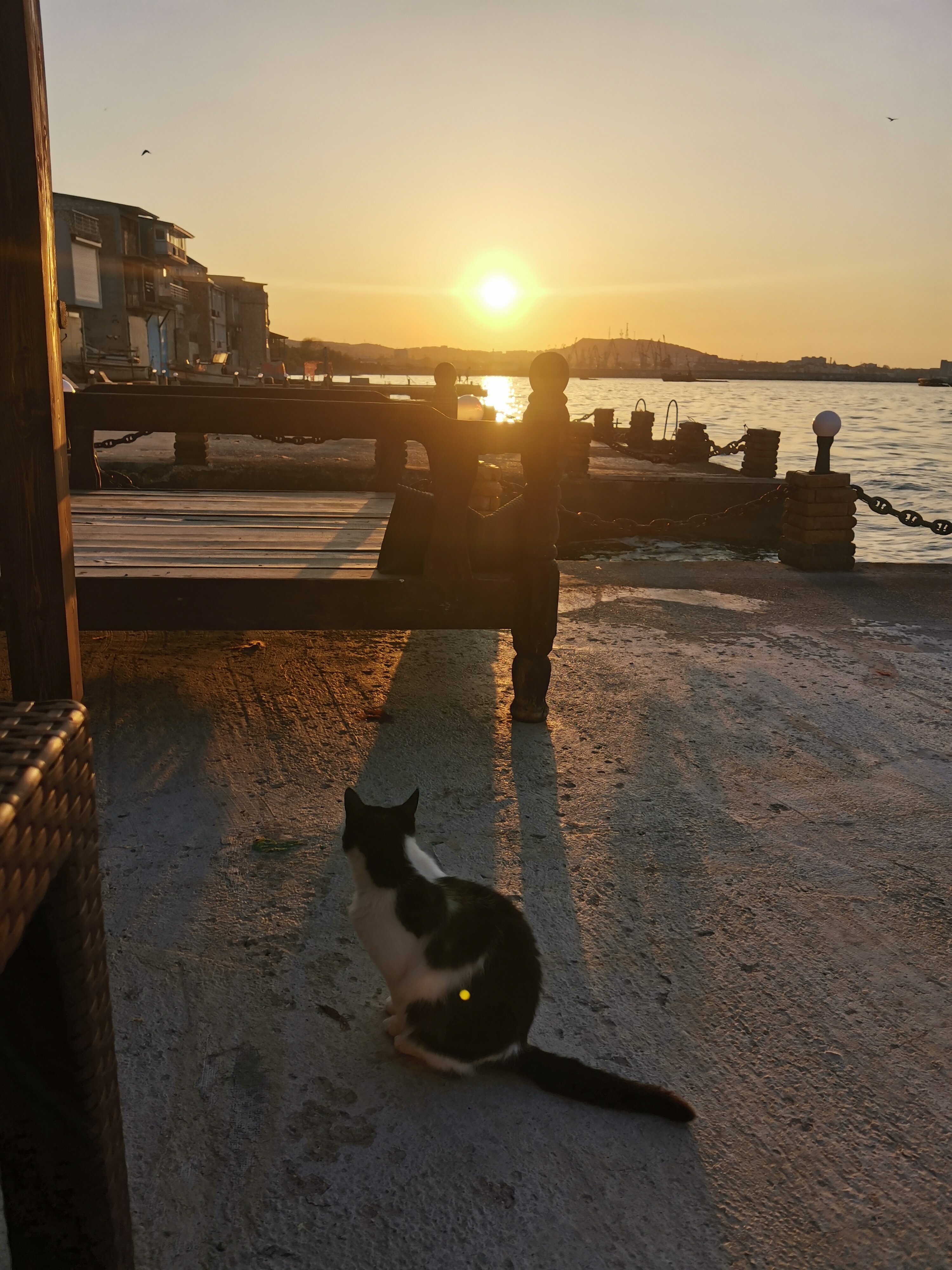 Фото Эллинг