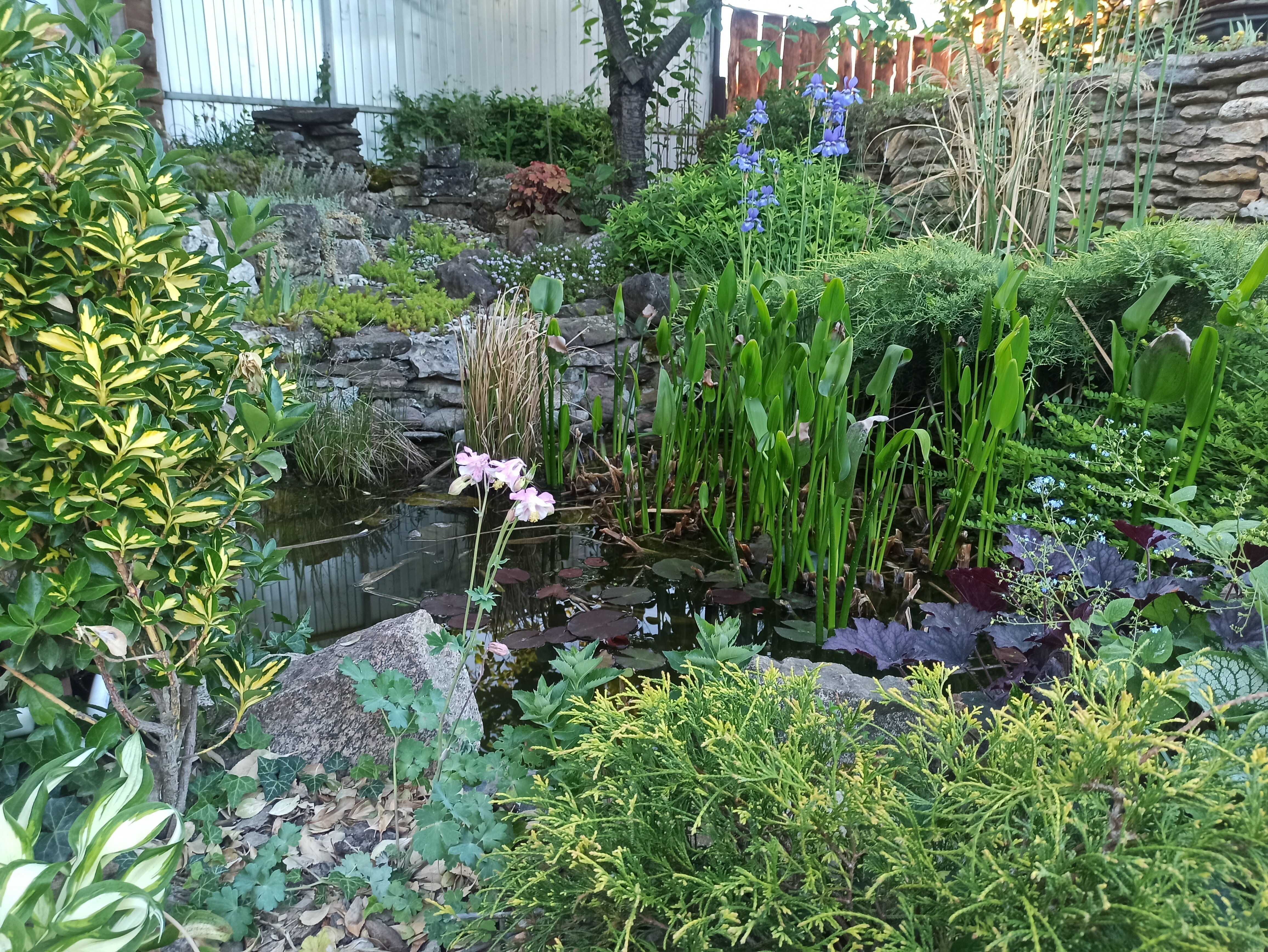 Фото Горный родник