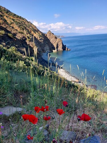 Rus ayoli dam olmoqda