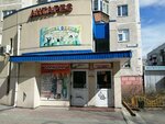 Magazin Produkty (Lermontova Street, 4), tienda de productos
