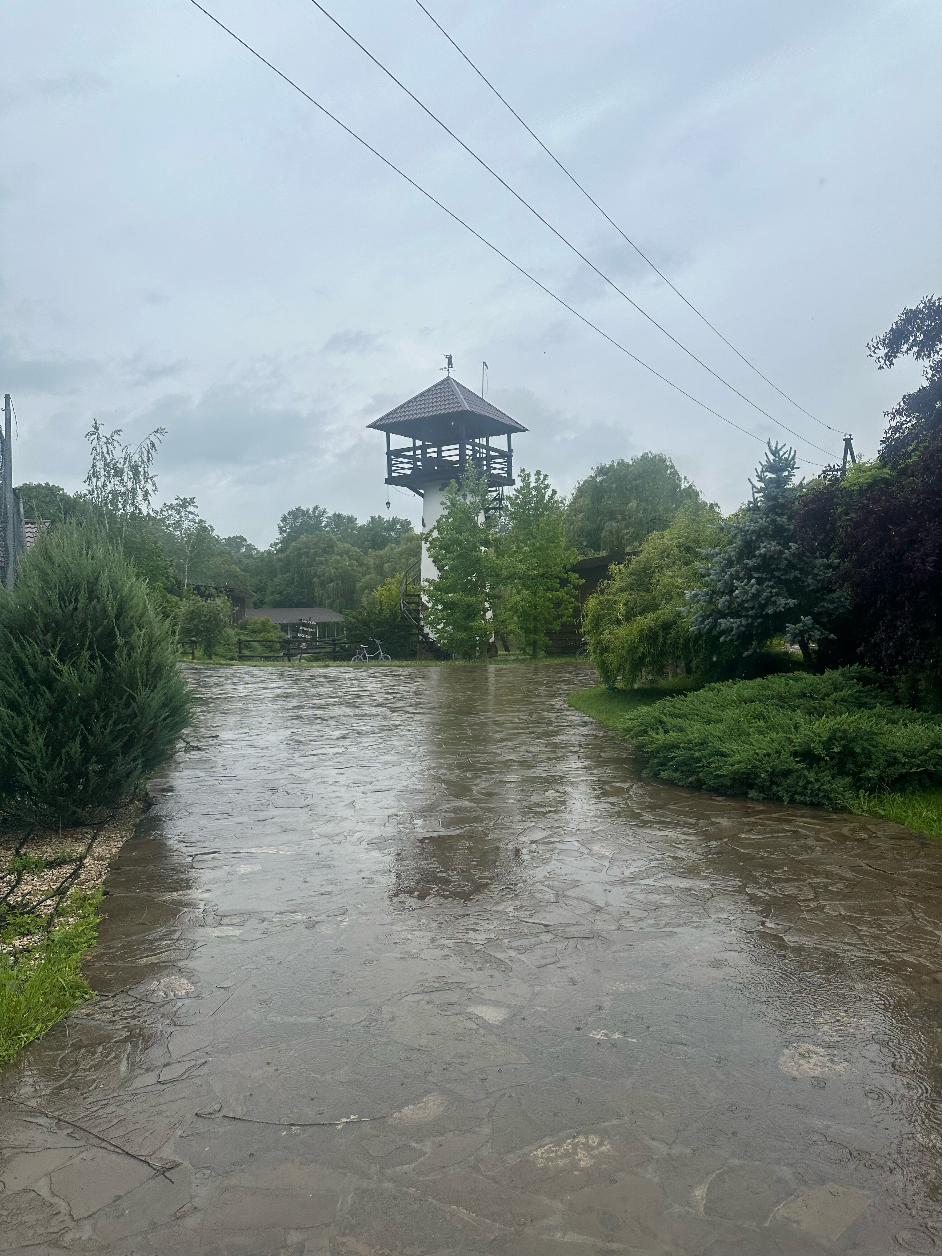 Фото Кура-цеце